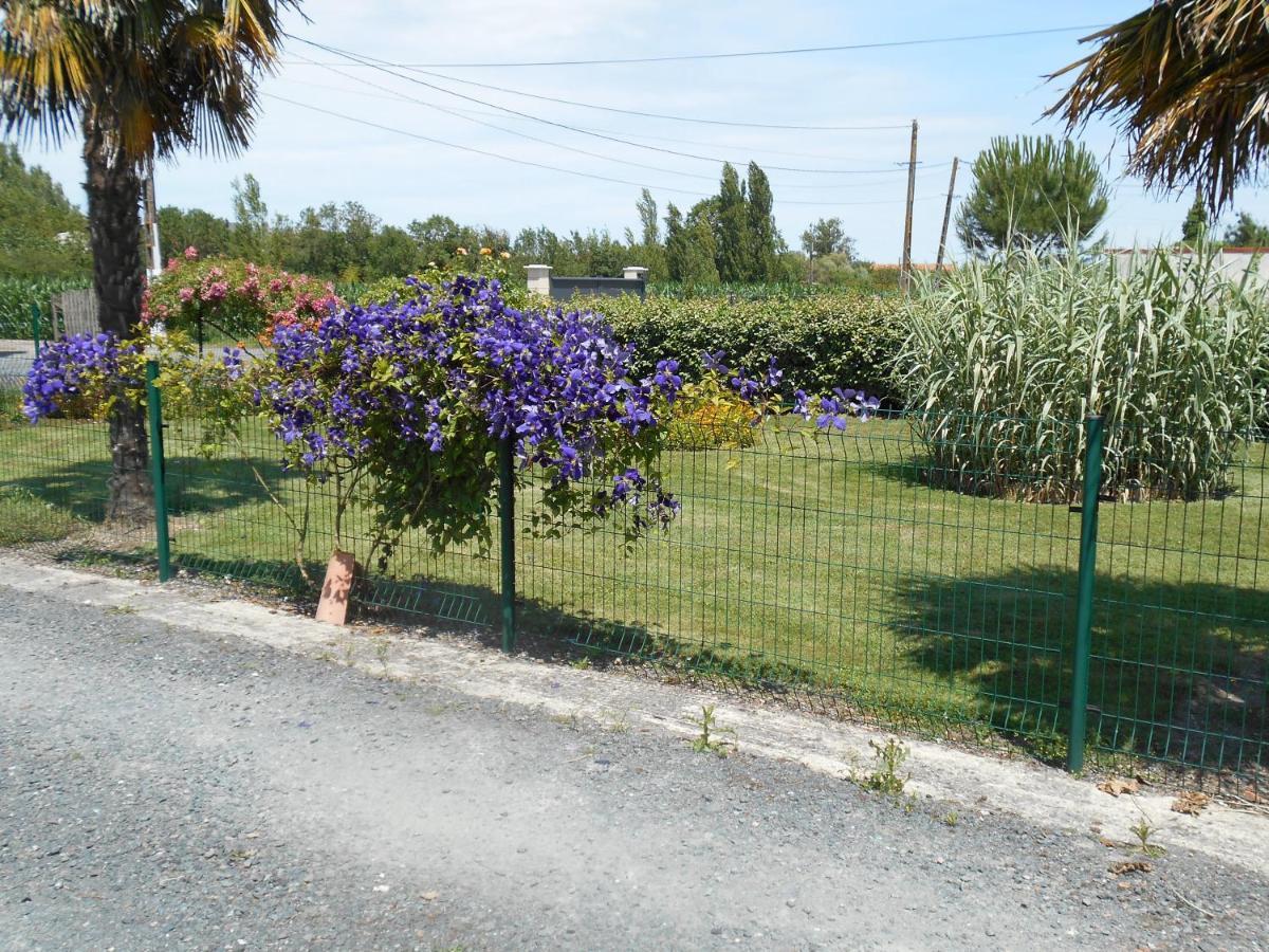 Marais Poitevin Bord Riviere Peche ,Barque, Velos, Wifi, Linge, Cheminee, Cuisine, Terrain De Boules La Taillee エクステリア 写真