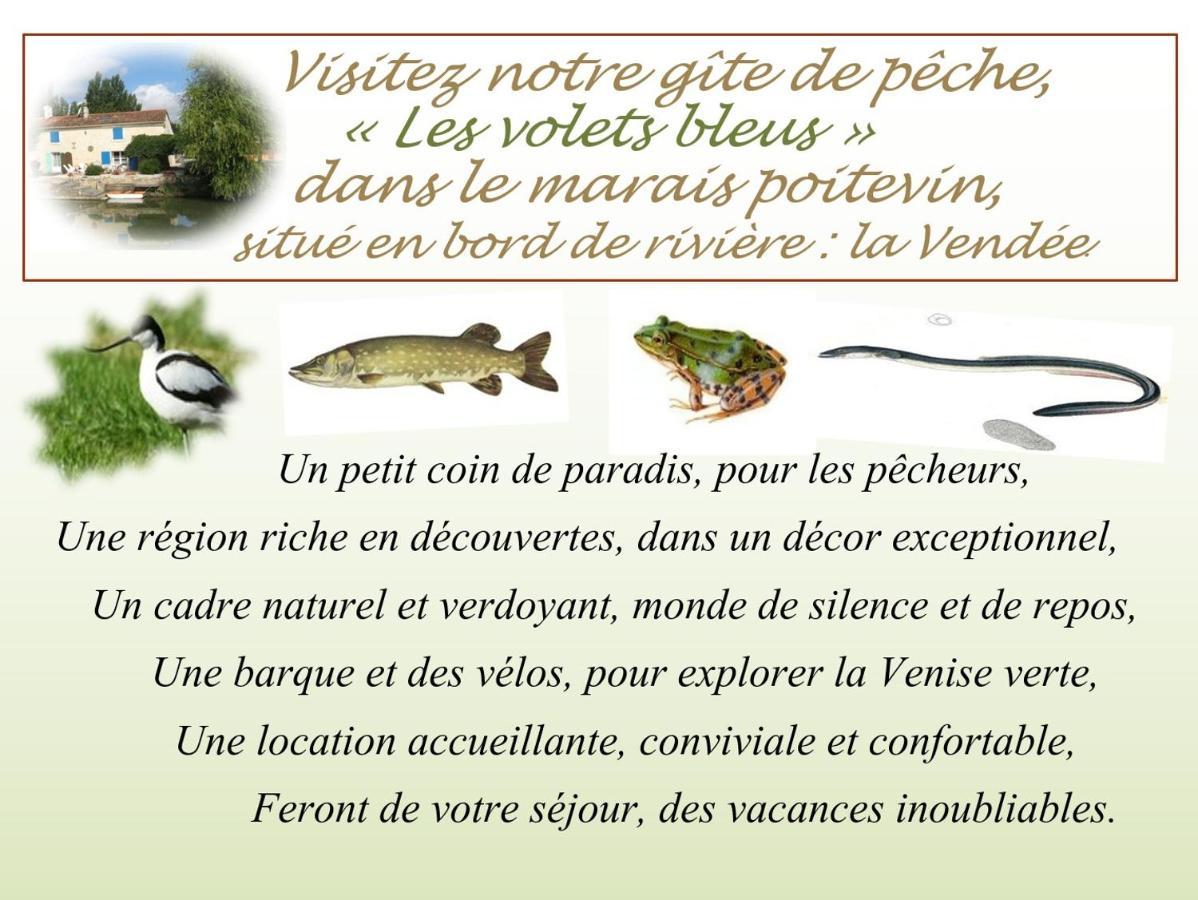 Marais Poitevin Bord Riviere Peche ,Barque, Velos, Wifi, Linge, Cheminee, Cuisine, Terrain De Boules La Taillee エクステリア 写真