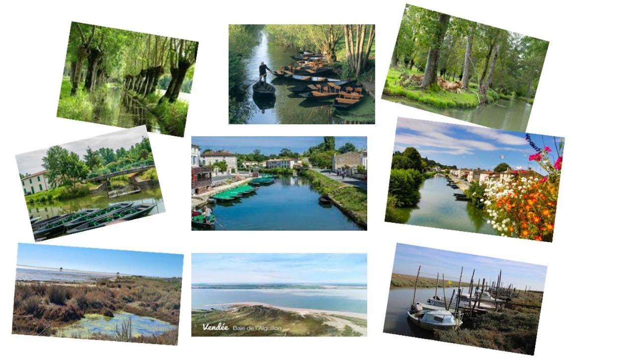 Marais Poitevin Bord Riviere Peche ,Barque, Velos, Wifi, Linge, Cheminee, Cuisine, Terrain De Boules La Taillee エクステリア 写真